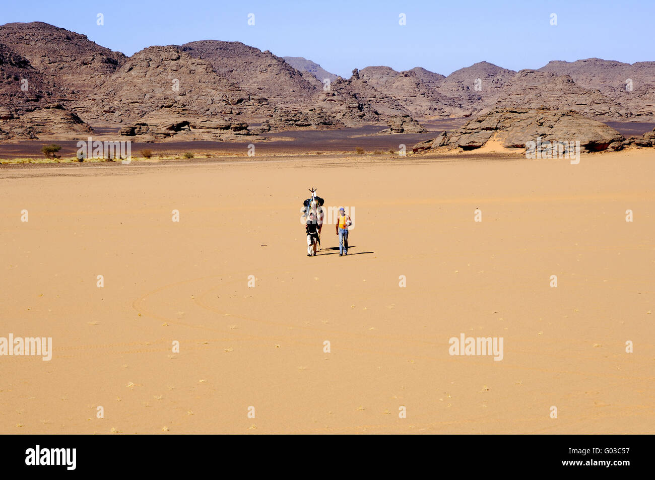 Due turisti e i loro piedi di cammello nel deserto del Sahara Foto Stock