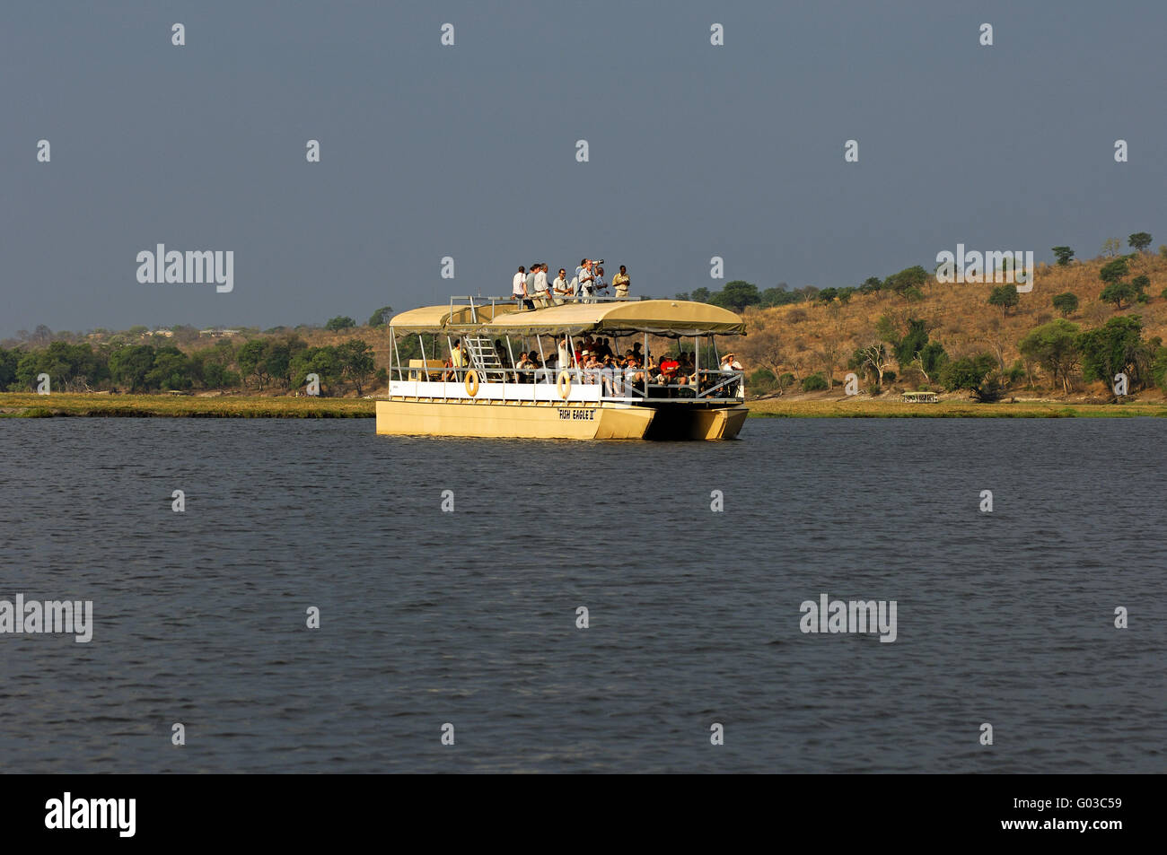 Barca fluviale per il fiume Game drives, fiume Chobe Foto Stock