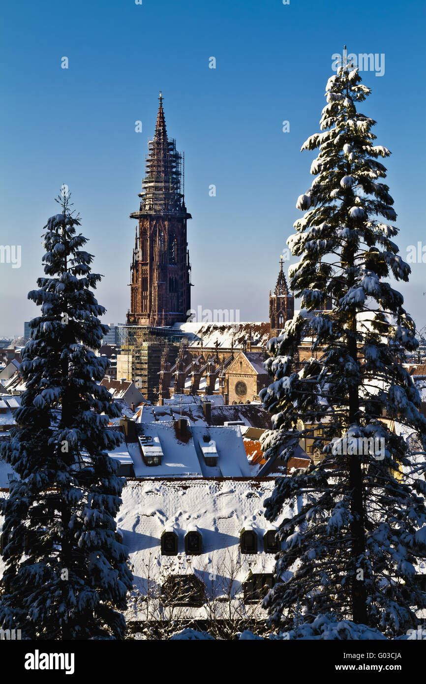 La vista al Minster di Friburgo sebbene abeti nevoso Foto Stock