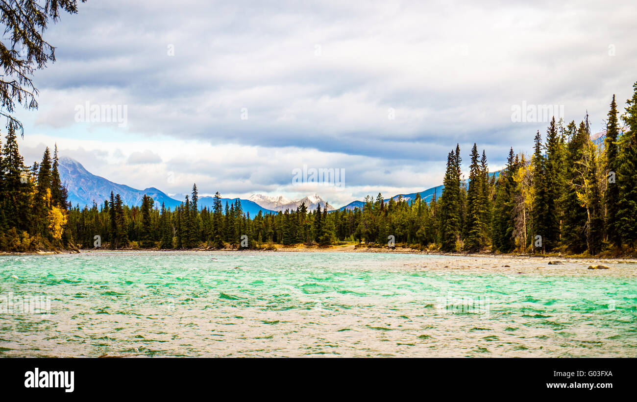 La riunione del Fiume Athabasca e il fiume idromassaggio nel Parco Nazionale di Jasper nelle Montagne Rocciose Canadesi di Alberta Foto Stock