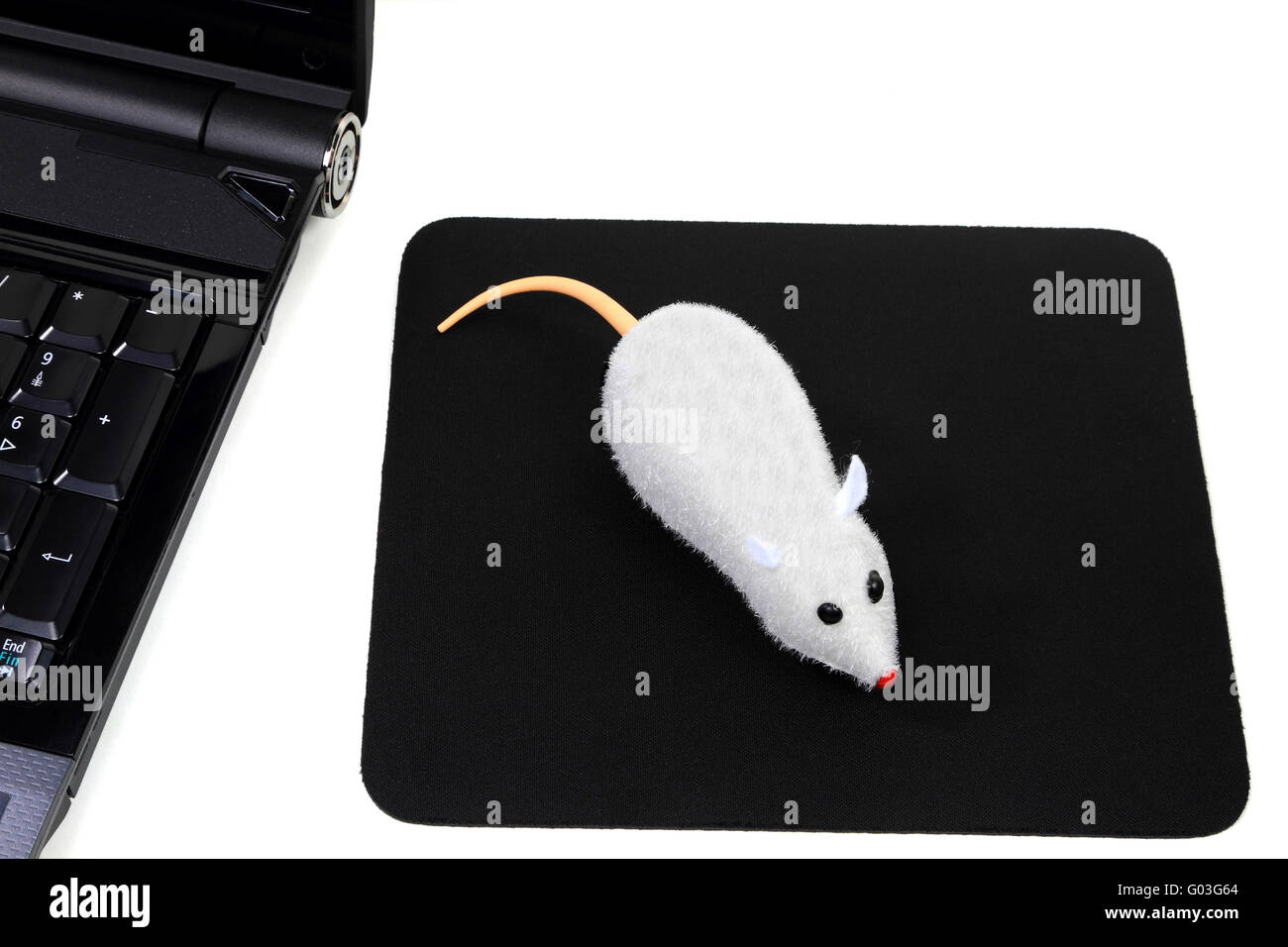 I due pulsanti del mouse wireless, divertente immagine del computer Foto Stock
