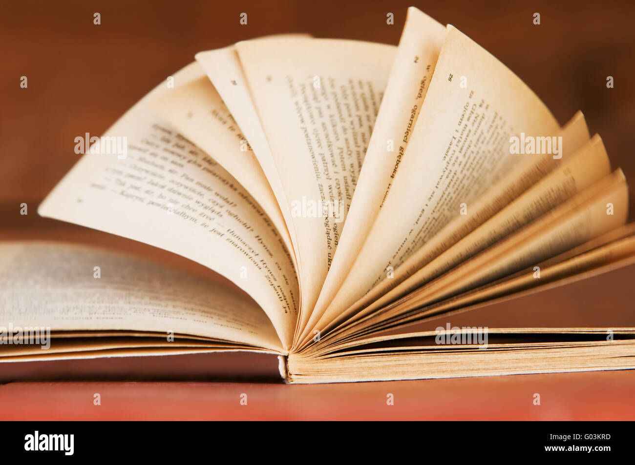 Libro aperto in stile retrò su sfondo di legno. Concetti di istruzione Foto Stock