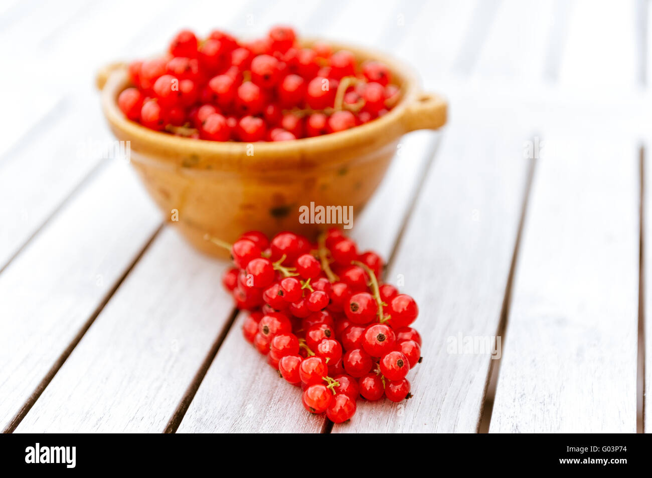 Ribes rosso in una ciotola Foto Stock