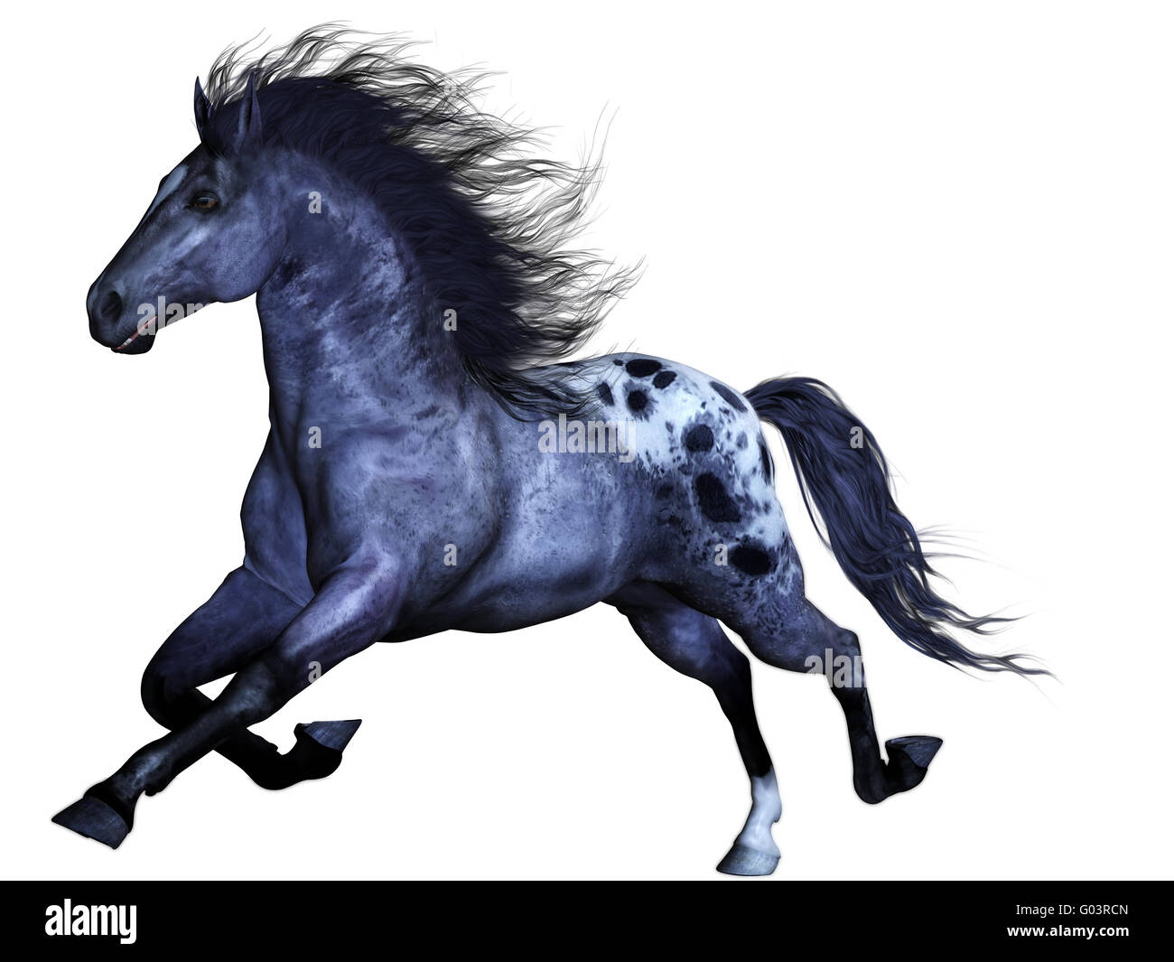 Un potente Wild Horse - isolato su bianco Foto Stock