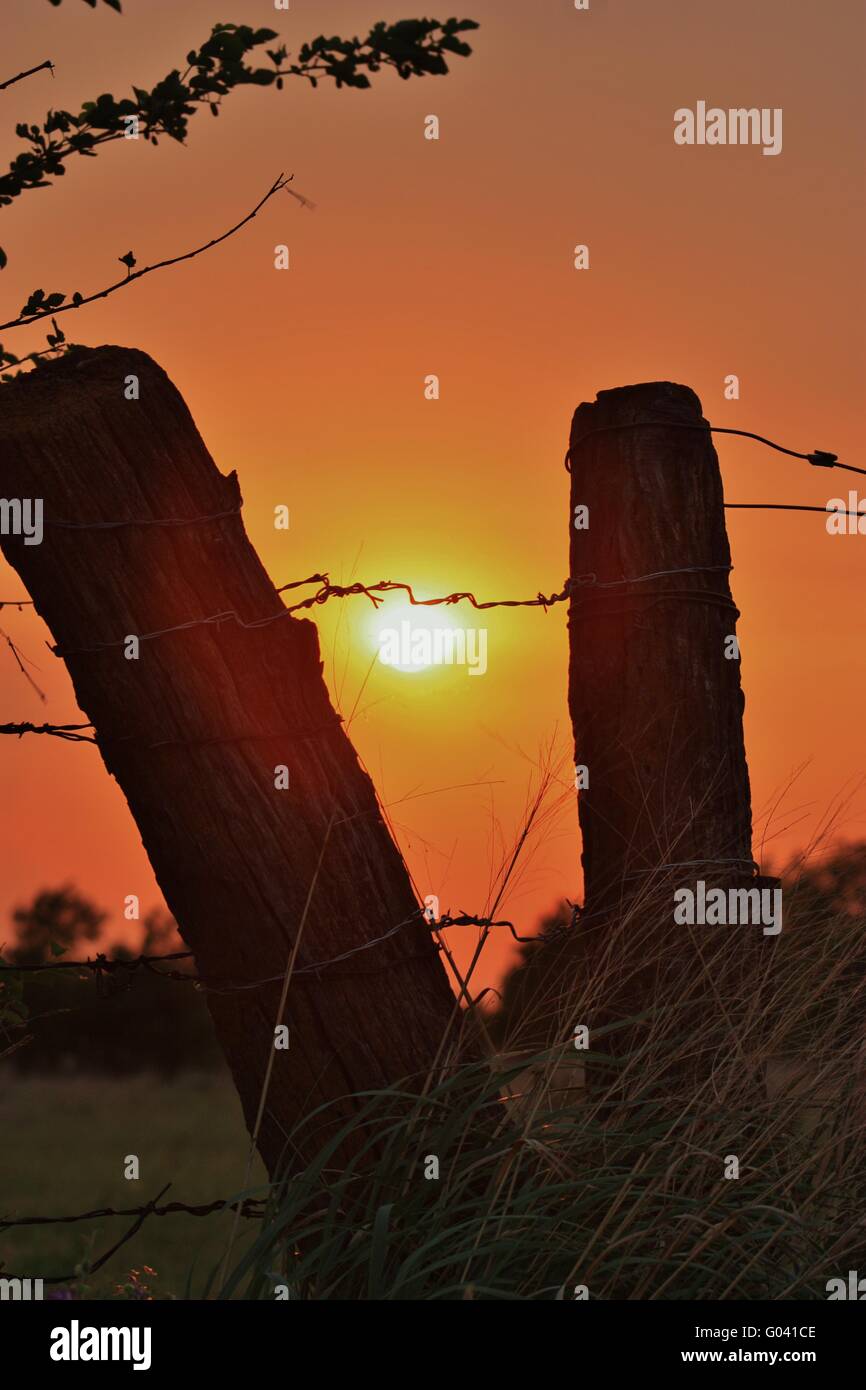 Linea di recinzione tramonto con palo da recinzione's Foto Stock