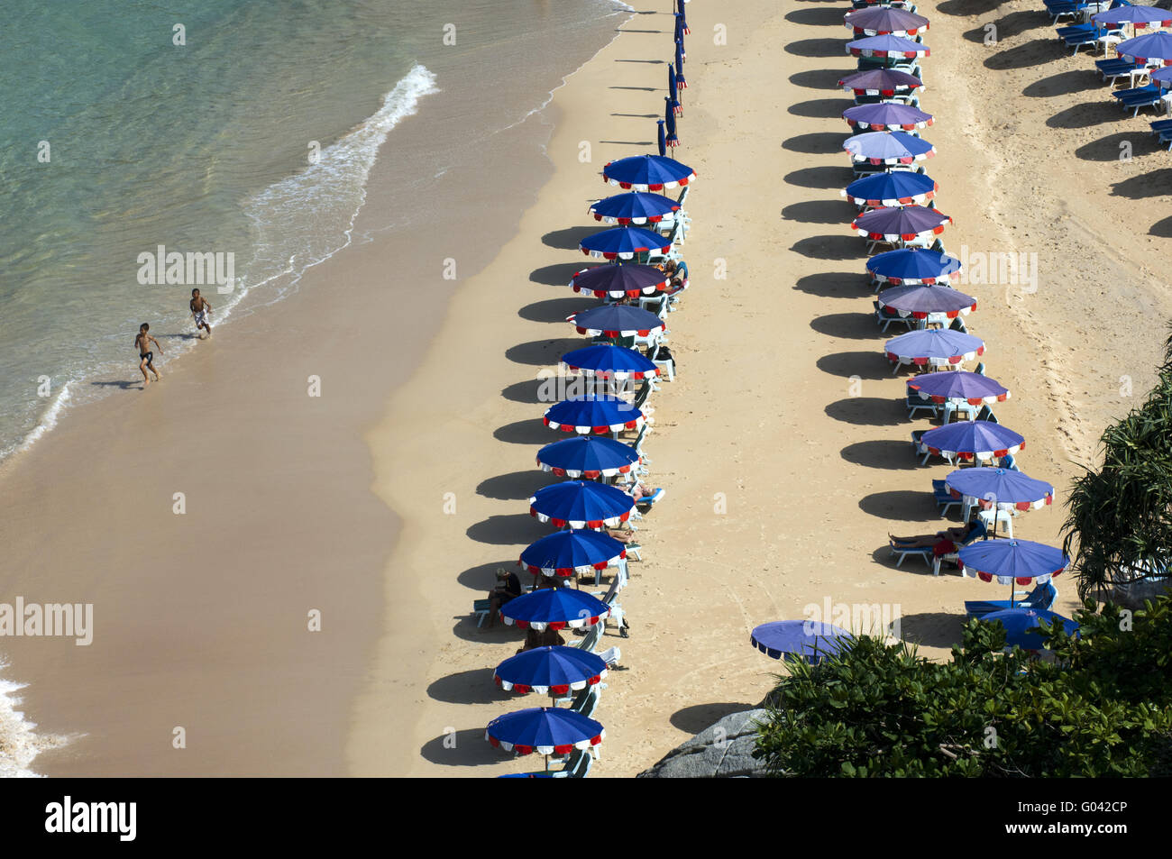 File di ombrelloni su di una spiaggia di sabbia, Isola di Phuket, Foto Stock