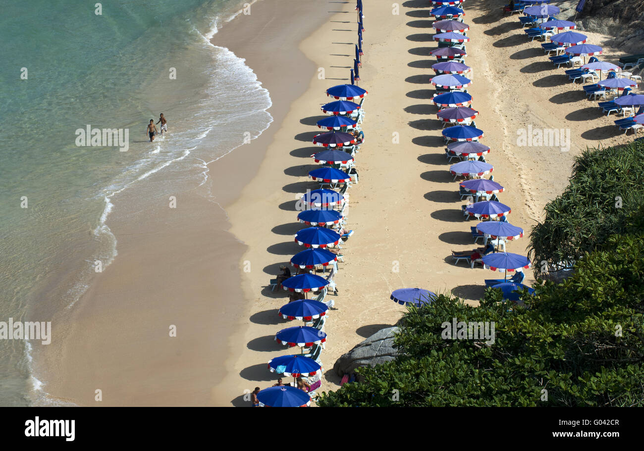 File di ombrelloni su di una spiaggia di sabbia, Isola di Phuket Foto Stock