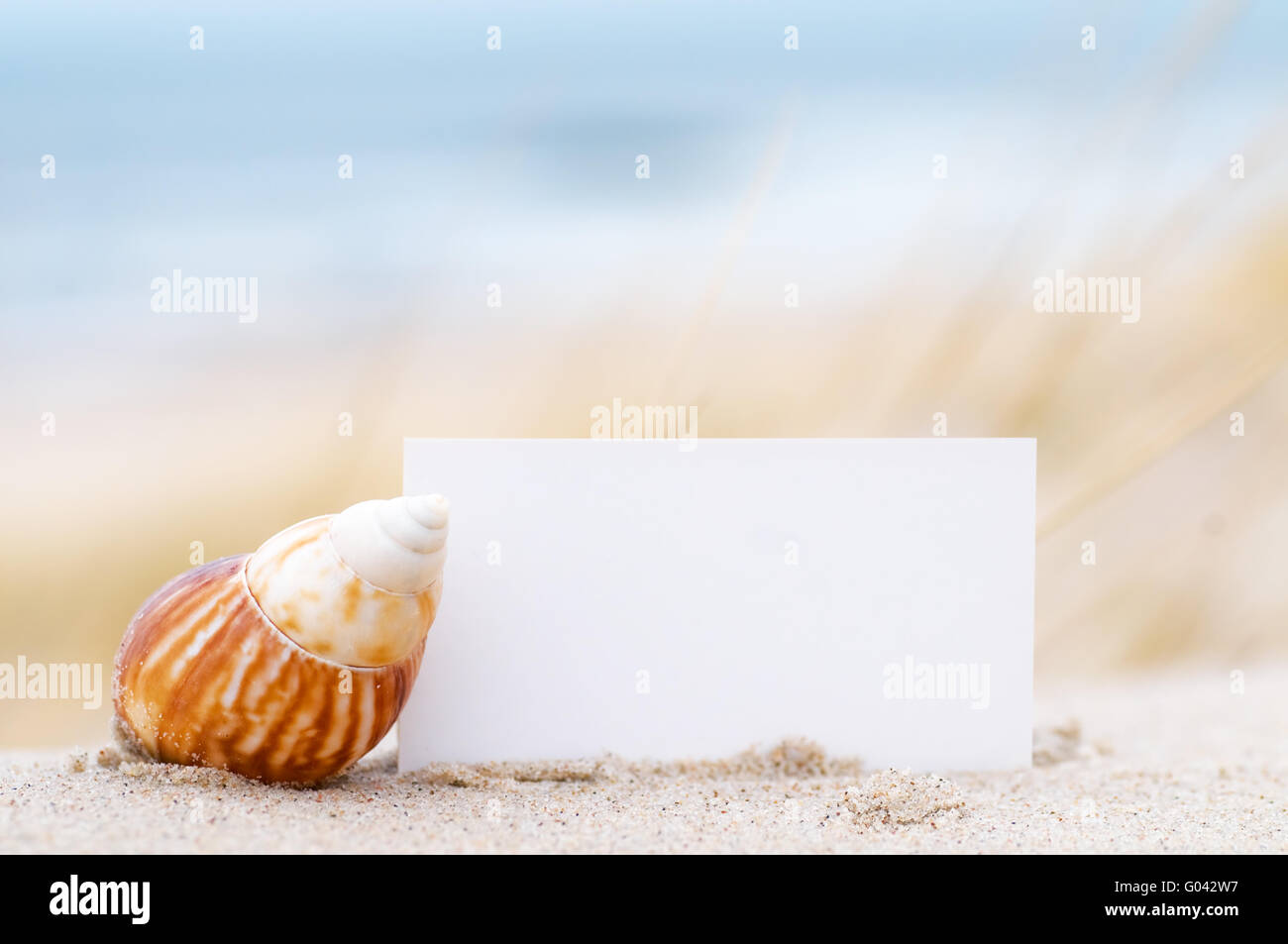 Vuoto carta bianca per il tuo messaggio e una shell sulla spiaggia di estate Foto Stock