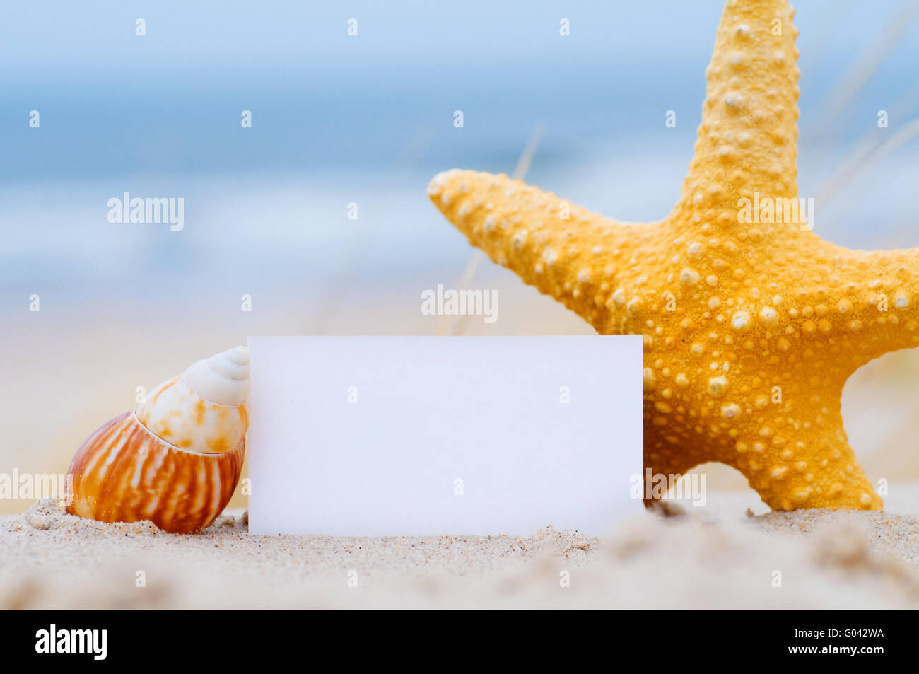 Vuoto carta bianca per il tuo messaggio con una stella di mare e shell in estate spiaggia Foto Stock