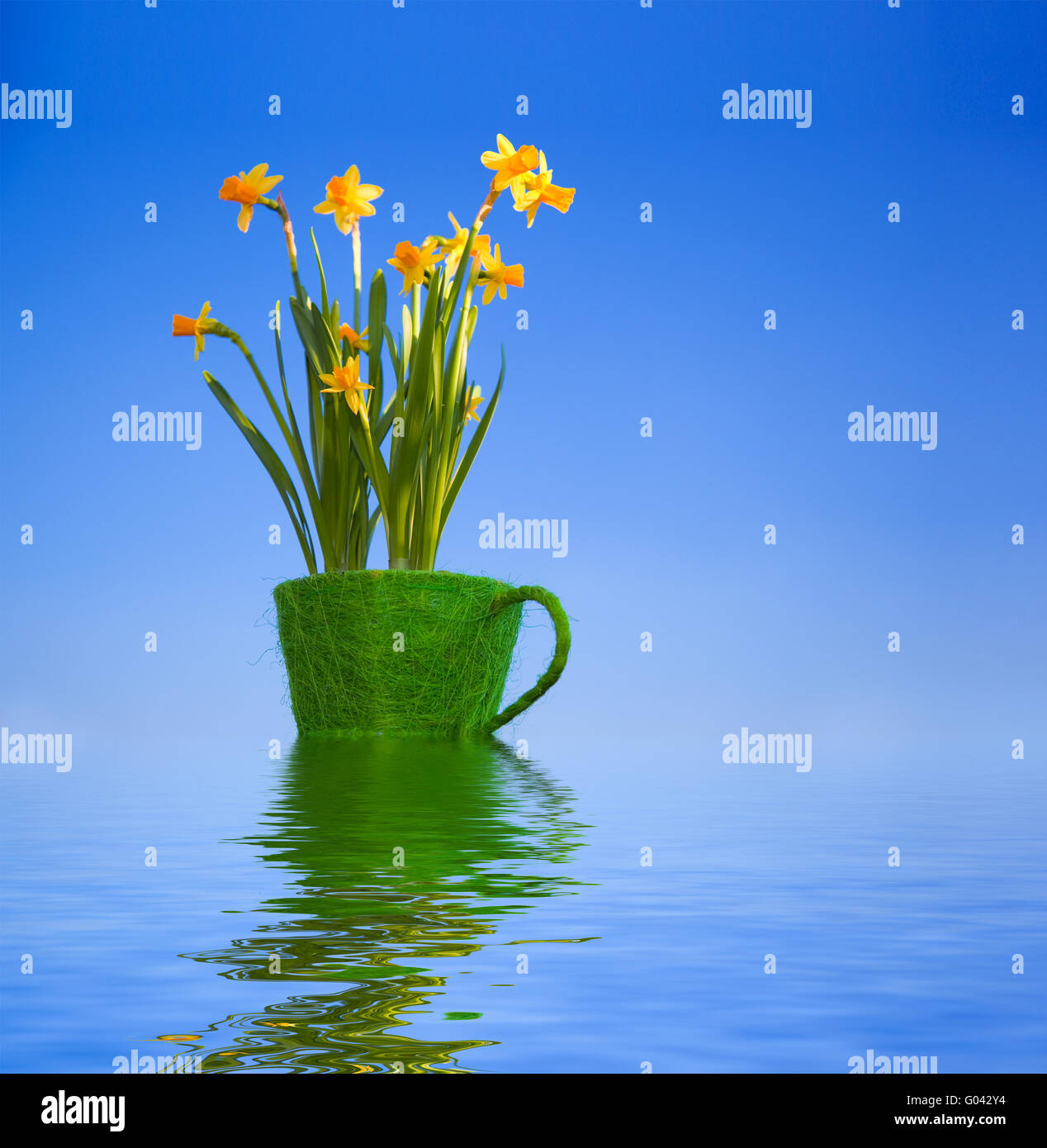 Composizione digitale di fiori in vaso erbosa riflessa nell'acqua Foto Stock