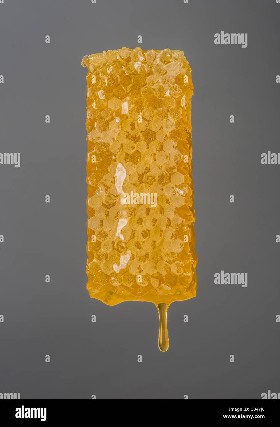 Favo di miele naturale pieno di miele Foto Stock