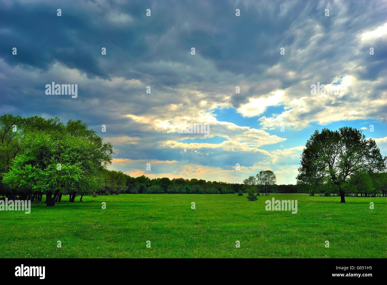 Il Cloud oltre il verde prato Foto Stock