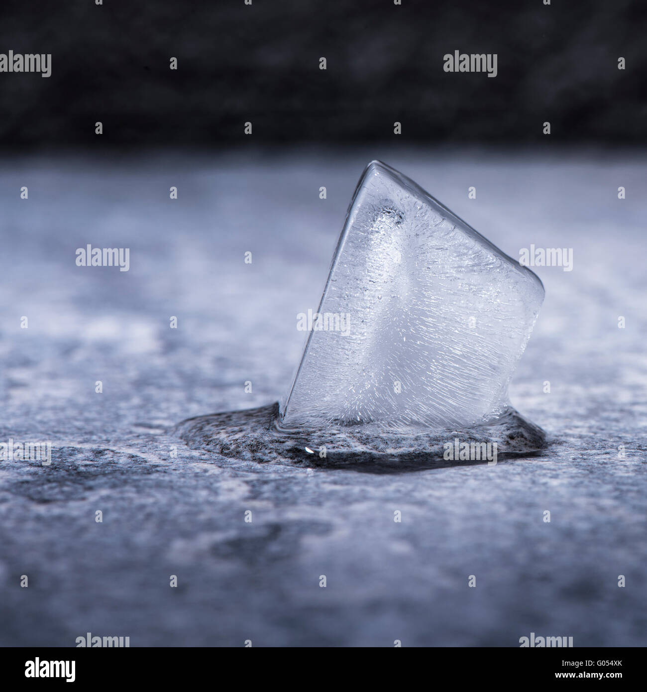 La fusione di cubetti di ghiaccio in stretta verso l'alto. Concetto di temperatura fredda, acqua e cambiare. Foto Stock