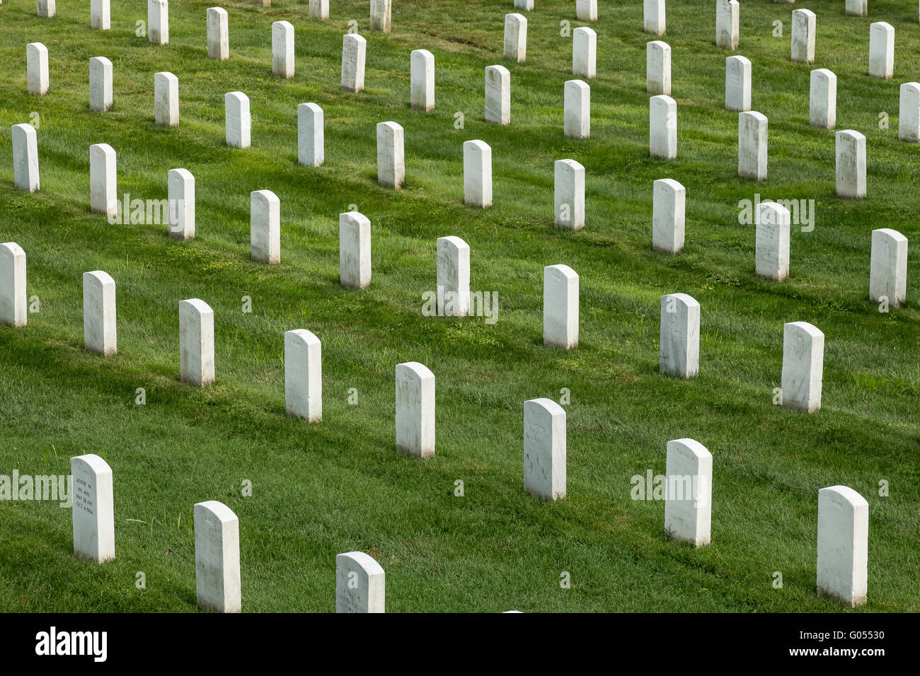 Righe di bianco marcatura lapidi tombe nel cimitero di Arlington, vicino a Washington DC. Foto Stock