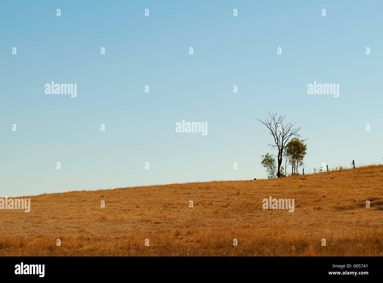 Australian Outback ondulato orizzonte invernale Foto Stock