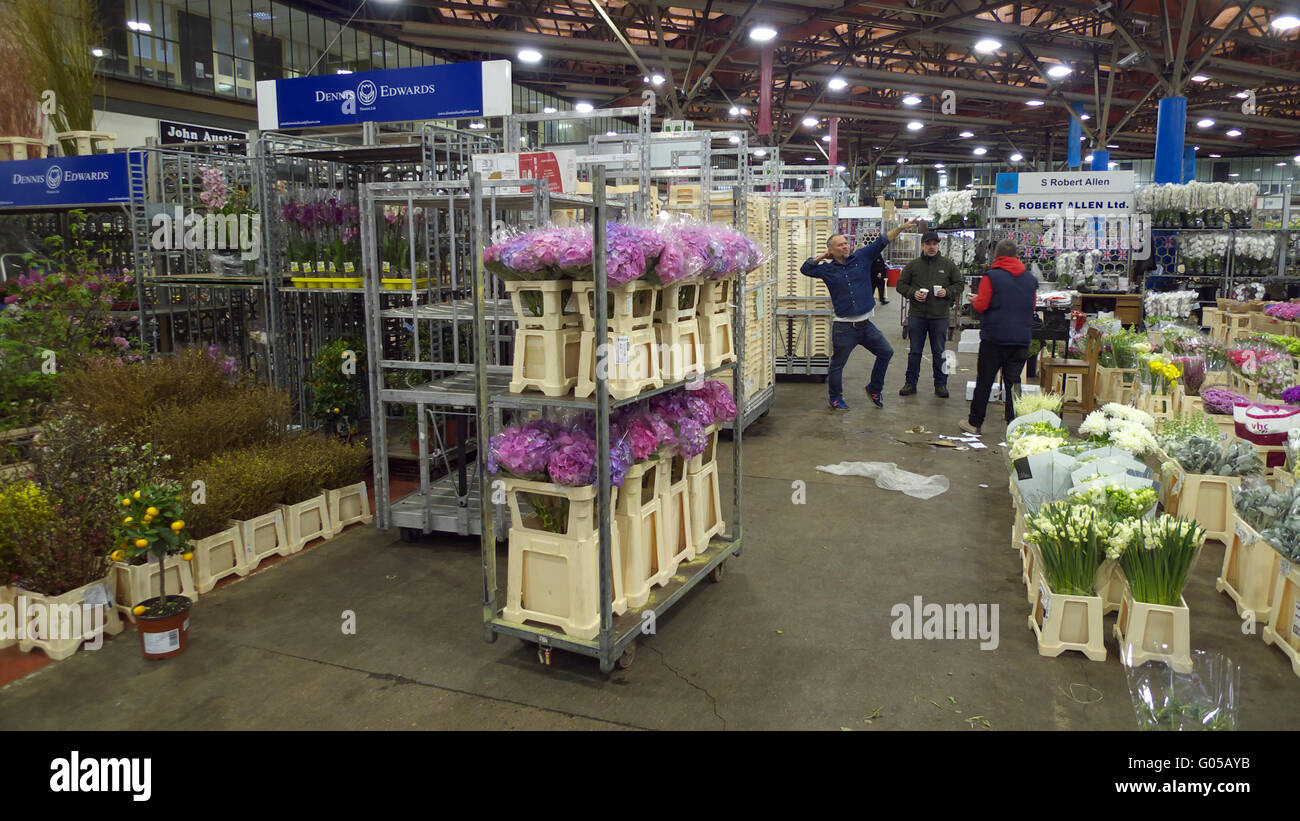 Fiori recisi in vendita al nuovo mercato di Covent Garden, Londra Foto Stock