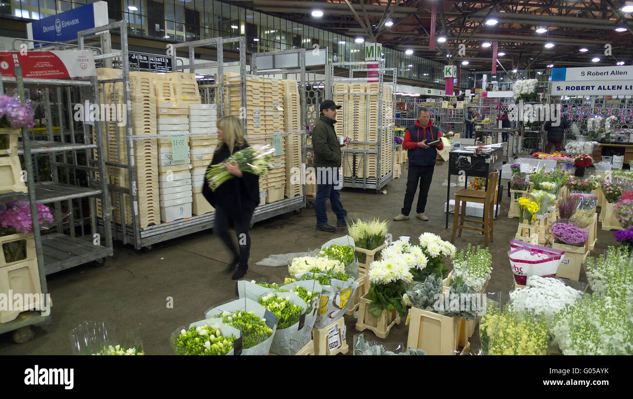 Fiori recisi in vendita al nuovo mercato di Covent Garden, Londra Foto Stock