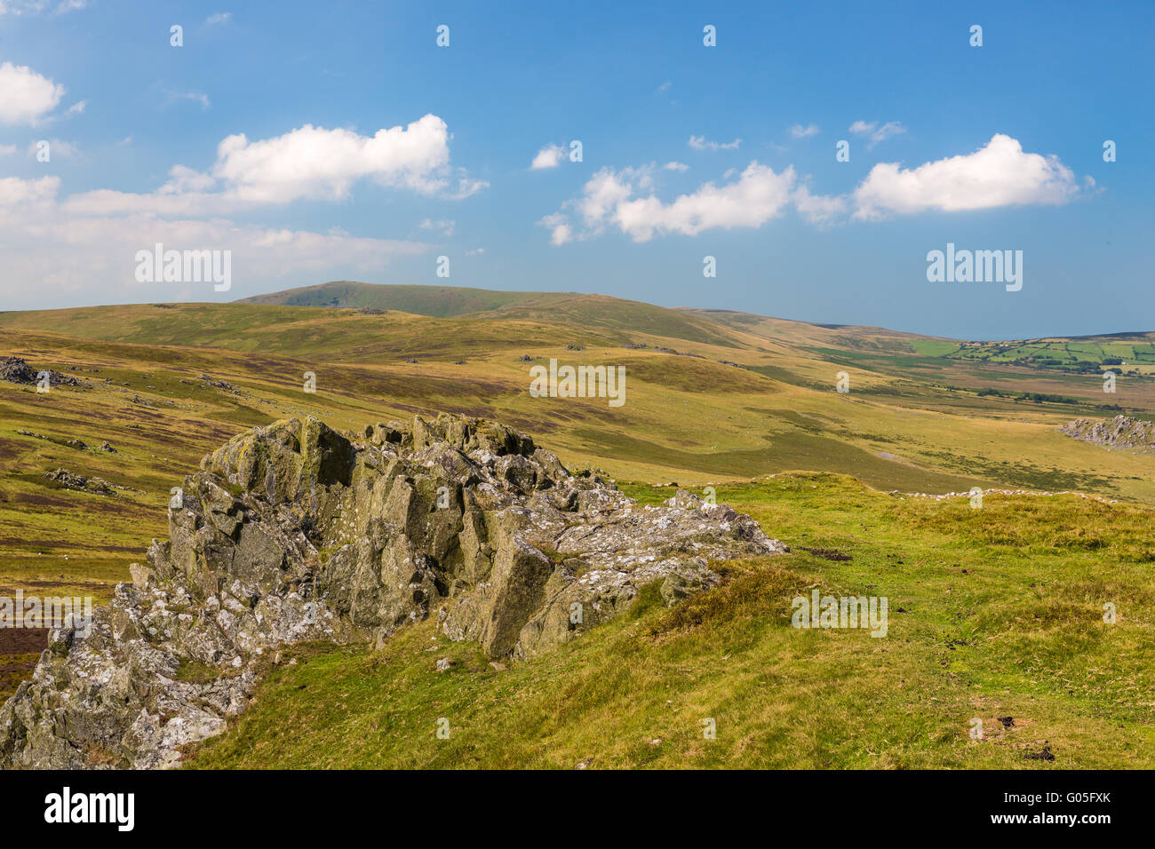 Il vertice di Foel Drygarn nelle montagne Preseli in nord Pembrokeshire Foto Stock