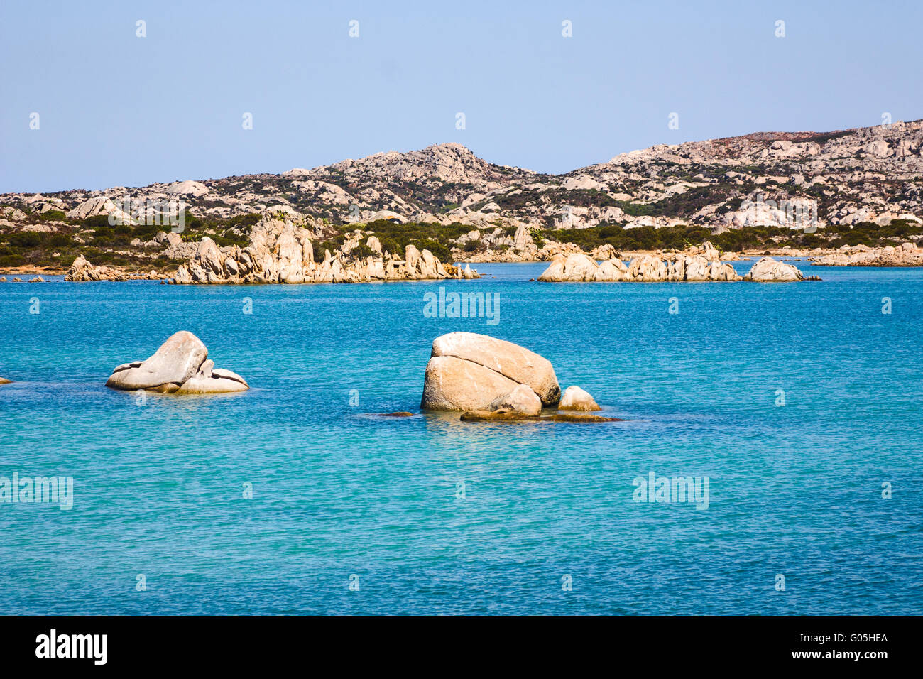 Testa Di Di Polpo Spiaggia Isola Arcipelago La Maddalena