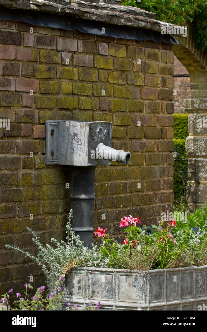 Giardino vecchio tubo di acqua con beccuccio fissata alla parete con dei fiori sotto il trogolo Foto Stock