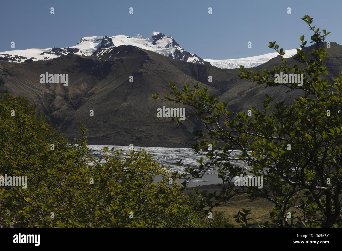 Skaftafellsjökull è uno dei ghiacciai di uscita (linguette sul ghiacciaio del Vatnajökull ice cap. Skaftafell Foto Stock