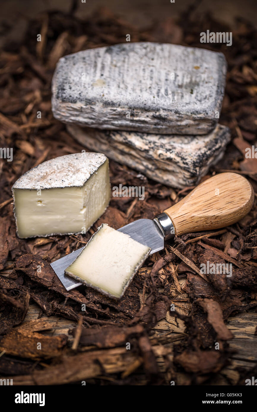 Una cascina formaggio di latte fresco di mucca Foto Stock