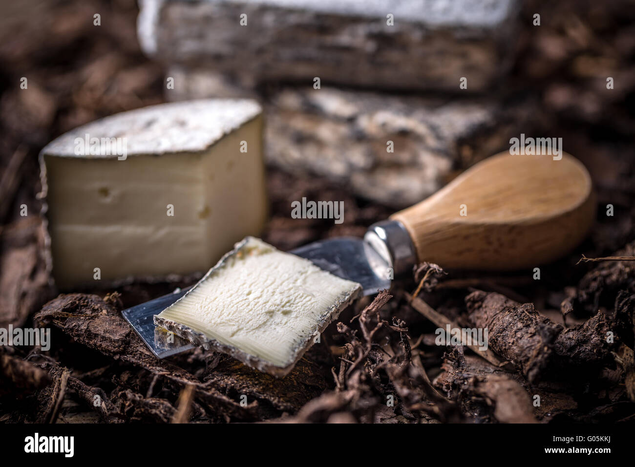 Formaggio a pasta morbida slice sul coltello Foto Stock
