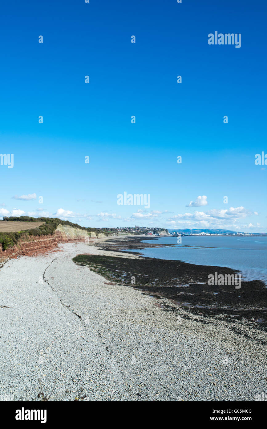 Una spiaggia di ciottoli e alghe marine spiaggia con scogliere e una baia al punto Ranny. Foto Stock