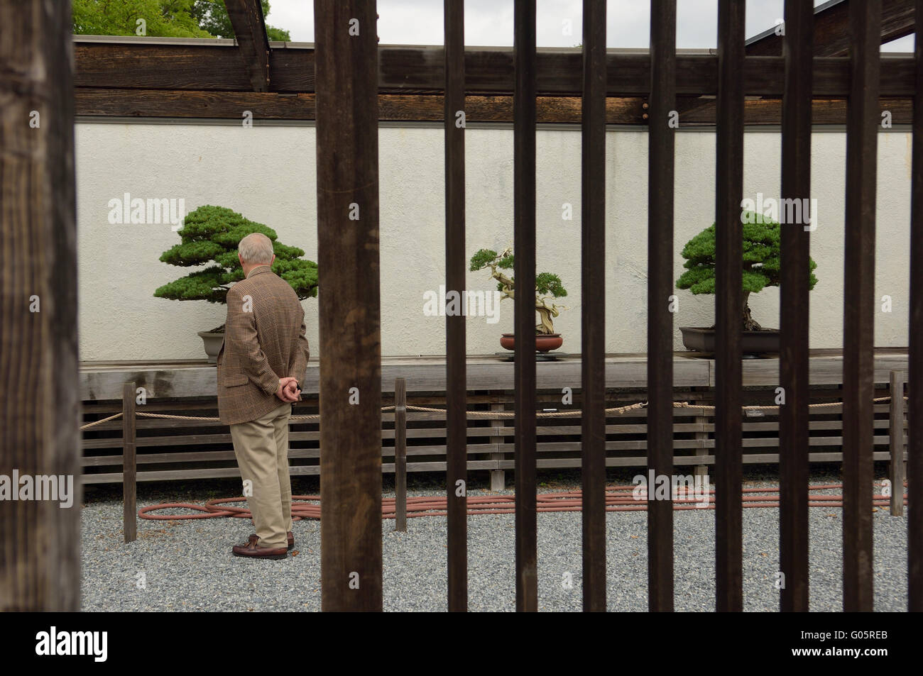 Il National Bonsai & Penjing Museum presso la US National Arboretum. Washington DC. Stati Uniti d'America Foto Stock