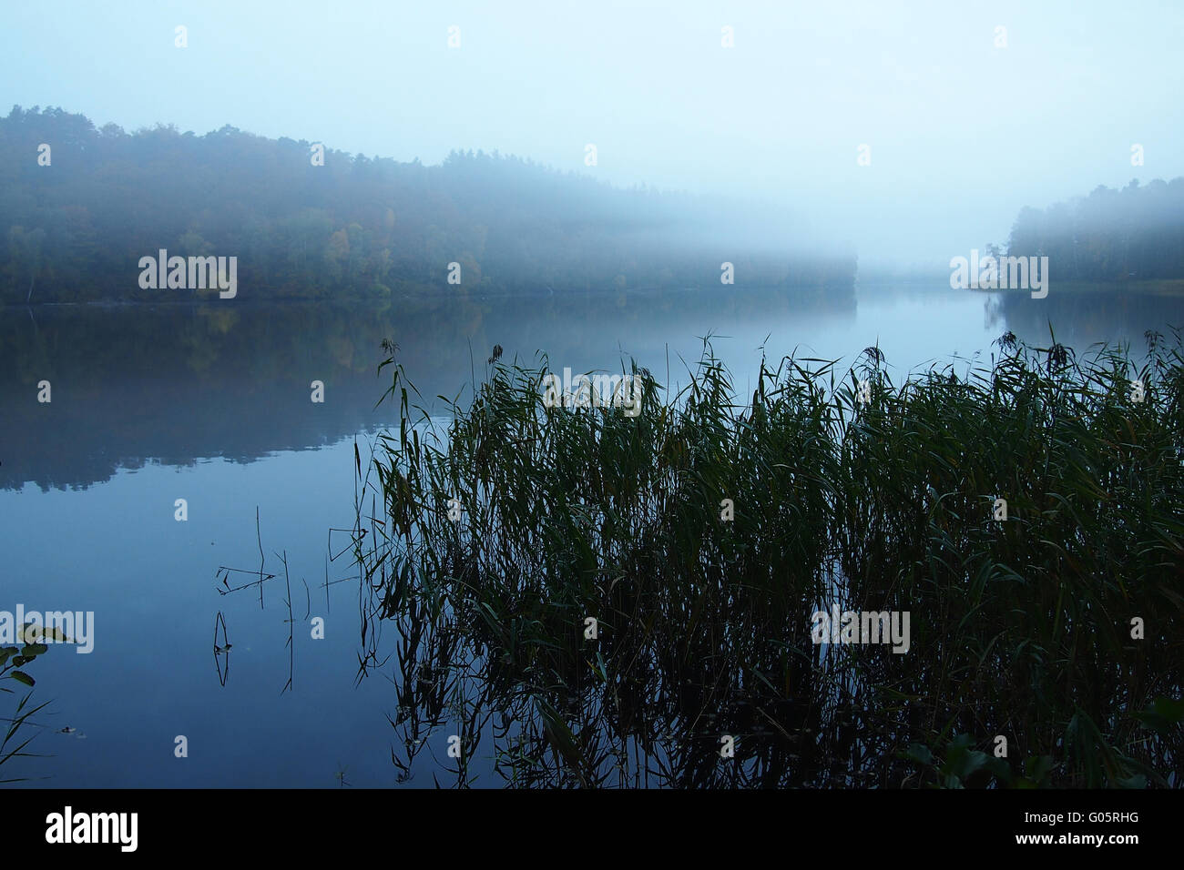 Velatura su una Natura lago di mattina Foto Stock