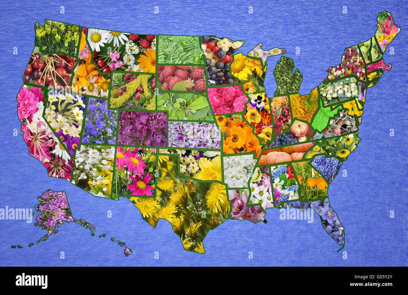 Stati Uniti d'America American mappa dai fiori- verde America concetto di paese Foto Stock