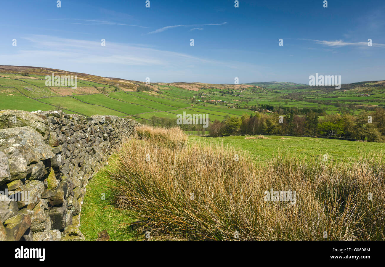 Il North York Moors National Park in una luminosa mattina di primavera che mostra il paesaggio di laminazione con i campi, ed asciugare il muro di pietra. Foto Stock