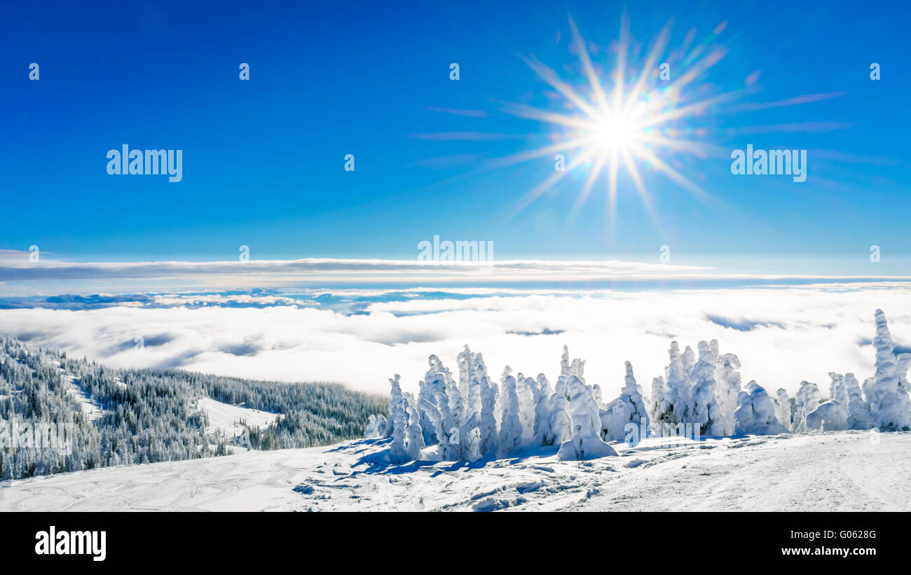 Sciare al sole luminoso tra coperta di neve alberi in alta alpine presso il Villaggio del Sole i picchi del Shuswap Highlands in BC, Canada Occidentale Foto Stock