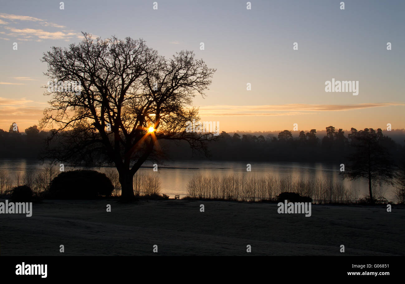 Sunrise over Forest Mere Foto Stock