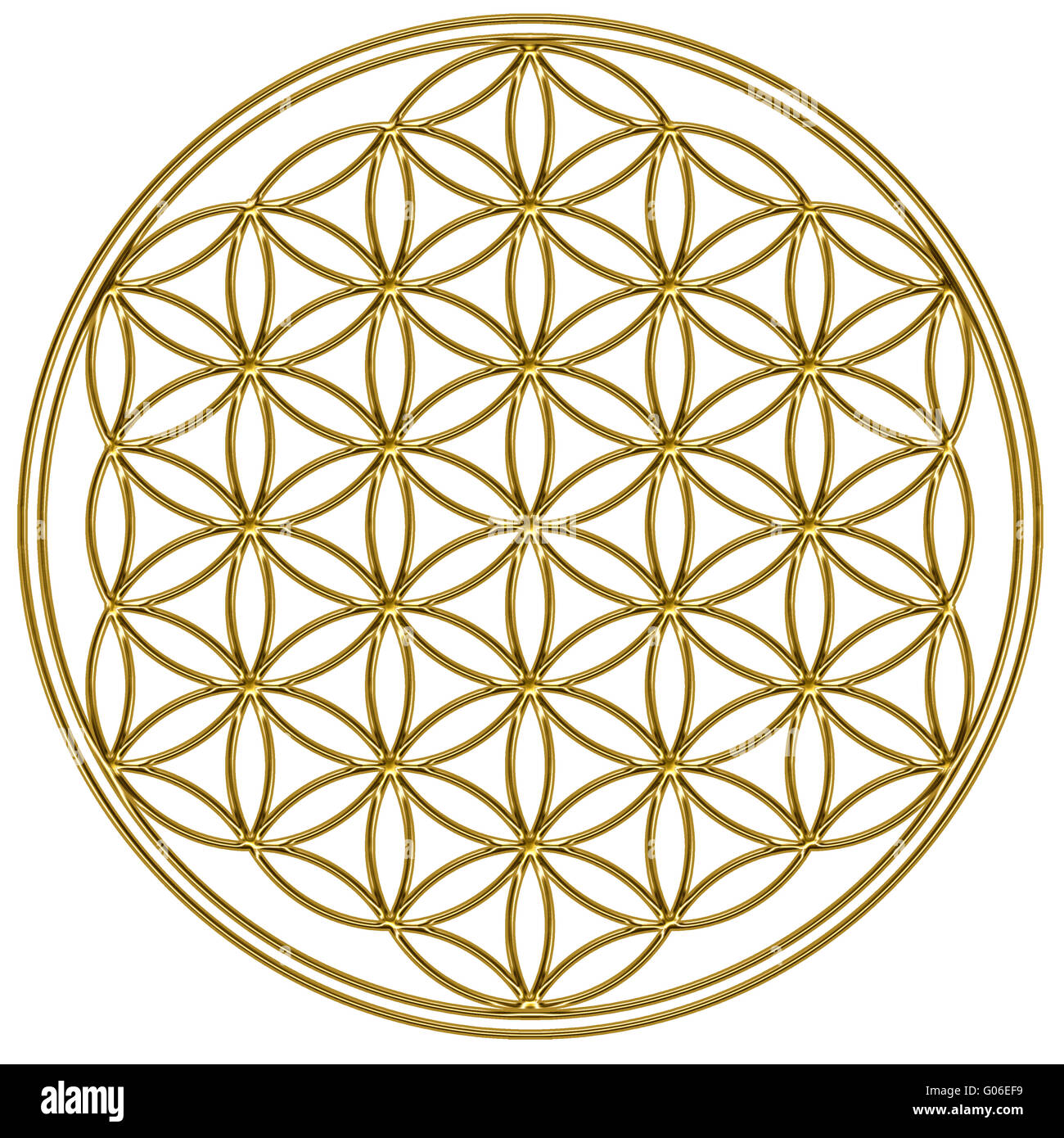 Fiore Della Vita Yantra Mandala Nella Geometria Sacra Del Fiore Di Loto Simbolo Luminoso D Oro Armonia E Equilibrio Miope Mistico 184016242