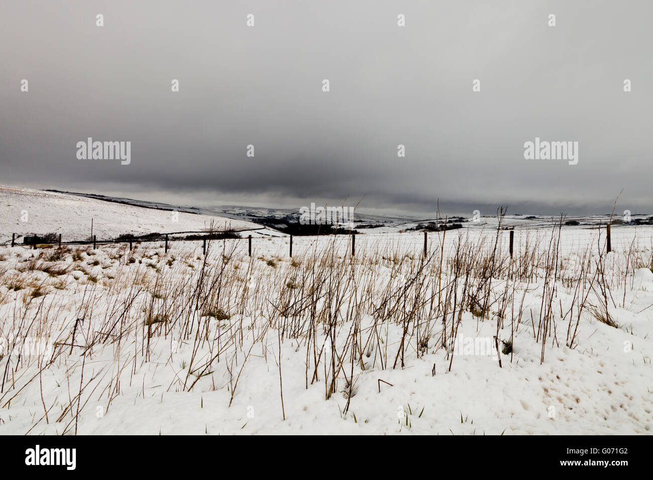 Cragg Vale, West Yorkshire, Regno Unito. Il 29 aprile, 2016. La neve copre i campi e colline in mori sopra Cragg Vale West Yorkshire. Credito: Graham Hardy/Alamy Live News Foto Stock