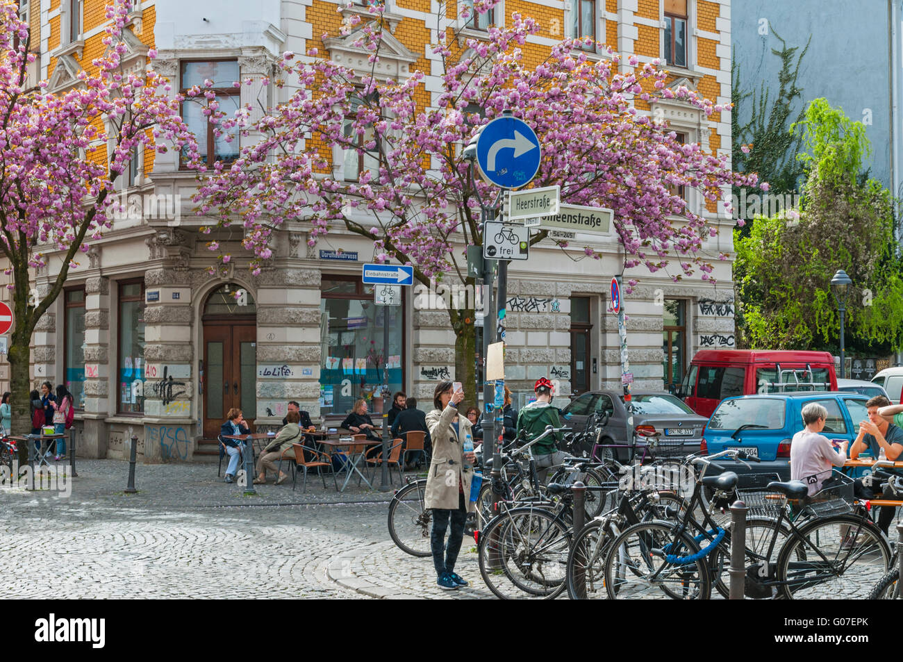 Fiore di Ciliegio tempo nella Città Vecchia di Bonn, NRW, Germania Foto Stock