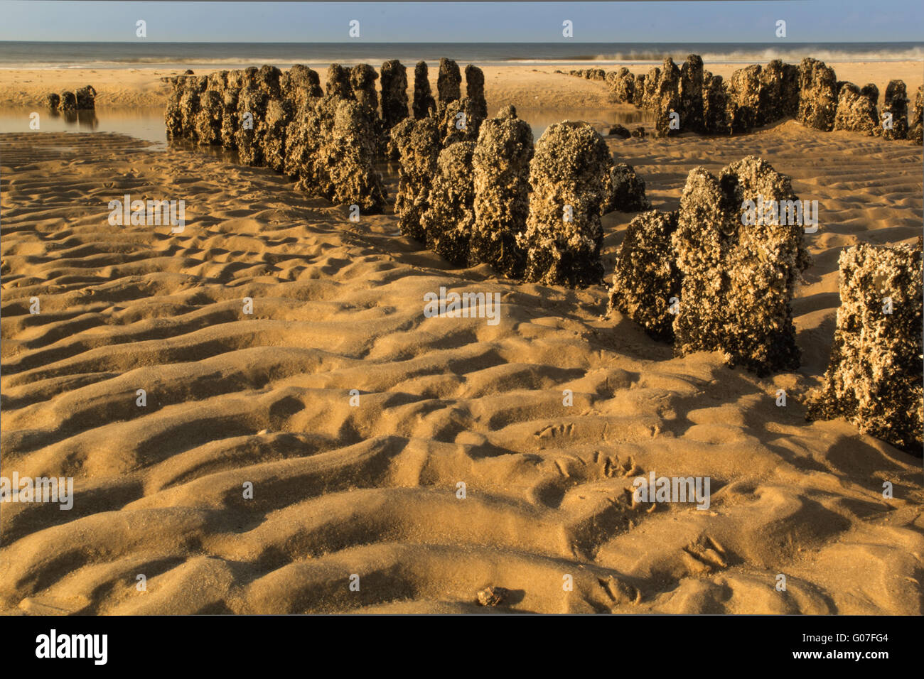 Strutture in sabbia del mare di Wadden al co Foto Stock