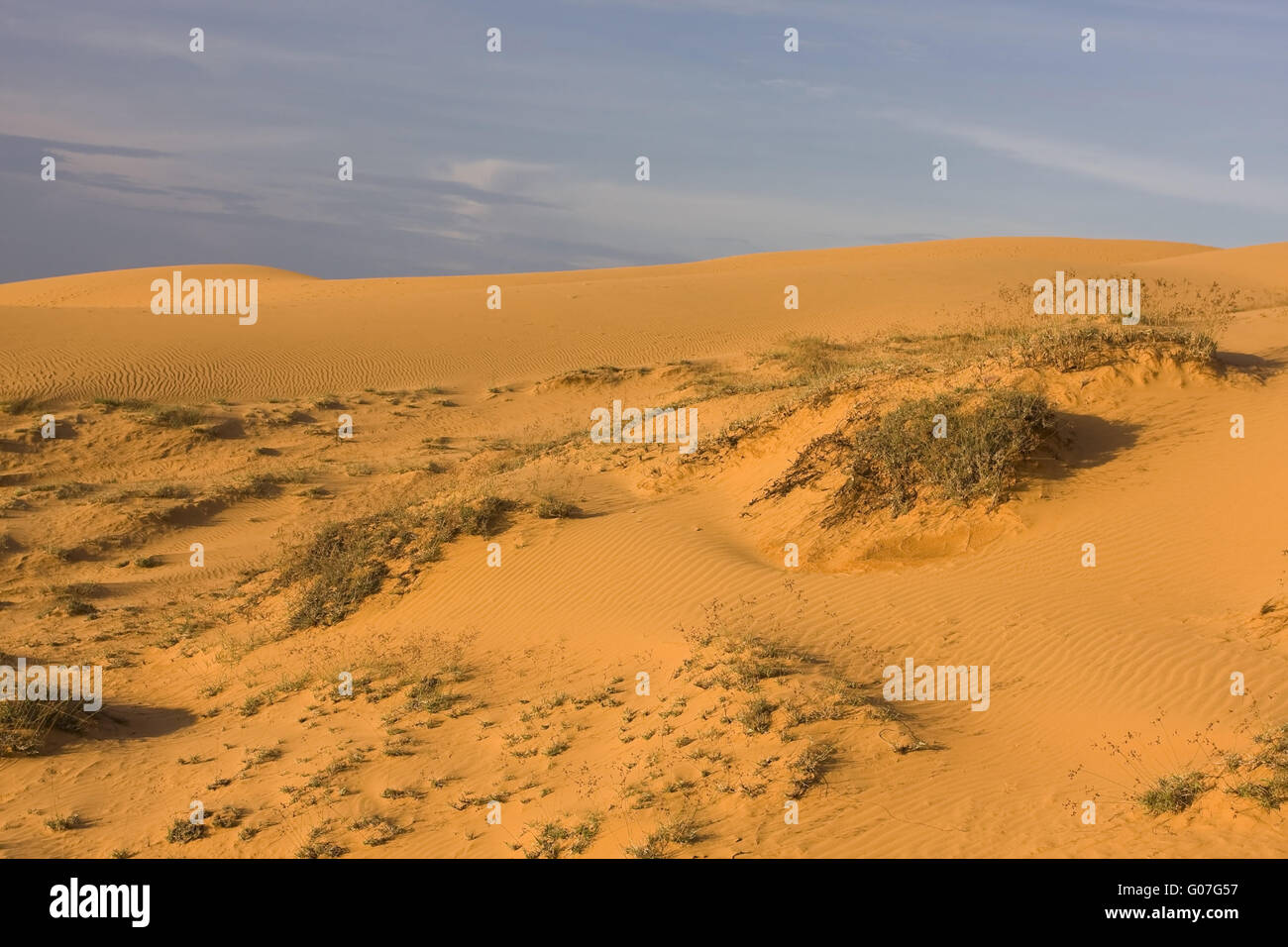 Le dune di sabbia rossa vicino a Mui Ne,SouthVietnam,Southe Foto Stock