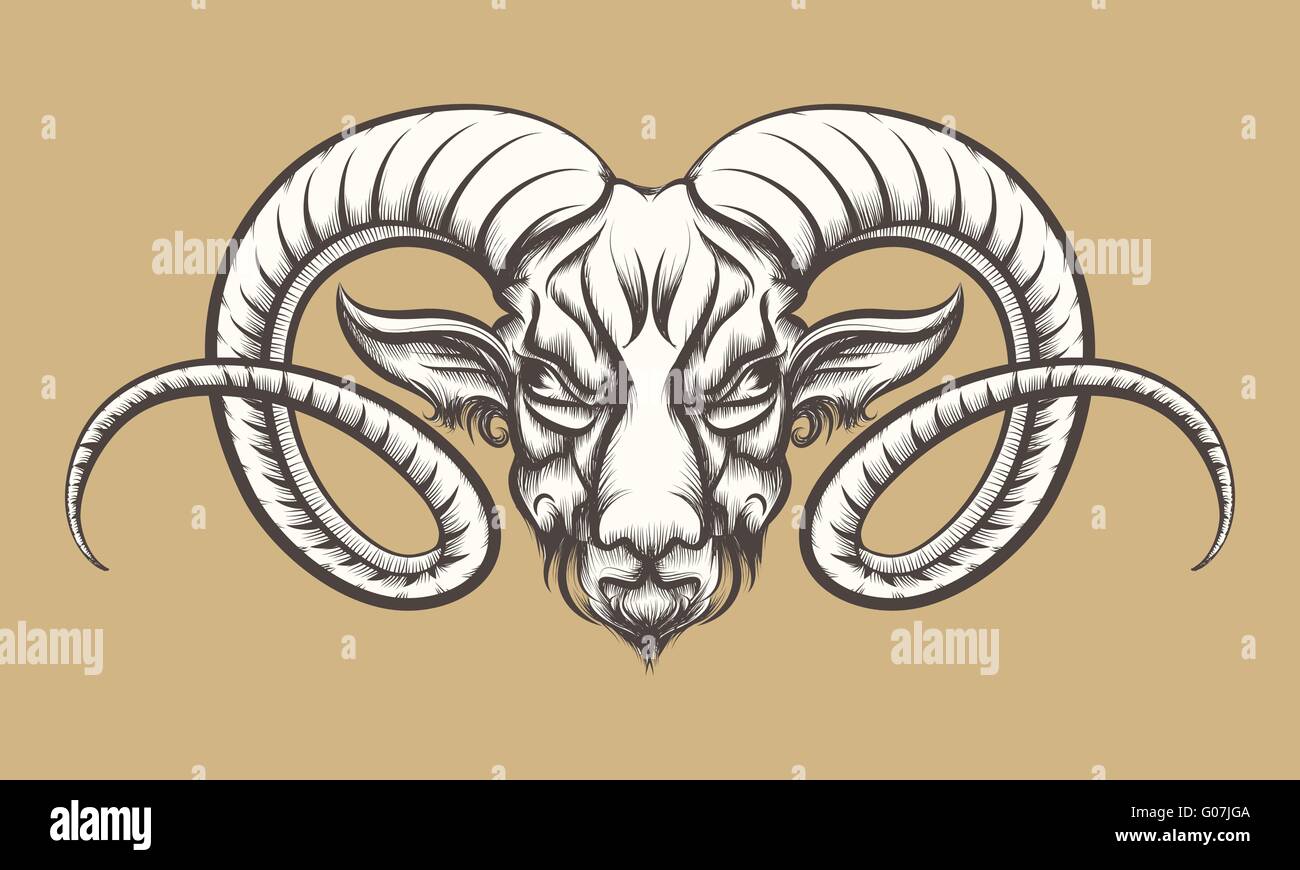 Testa di una Ram disegnati in stile tatuaggio. Isolato su monocromatico. Illustrazione Vettoriale