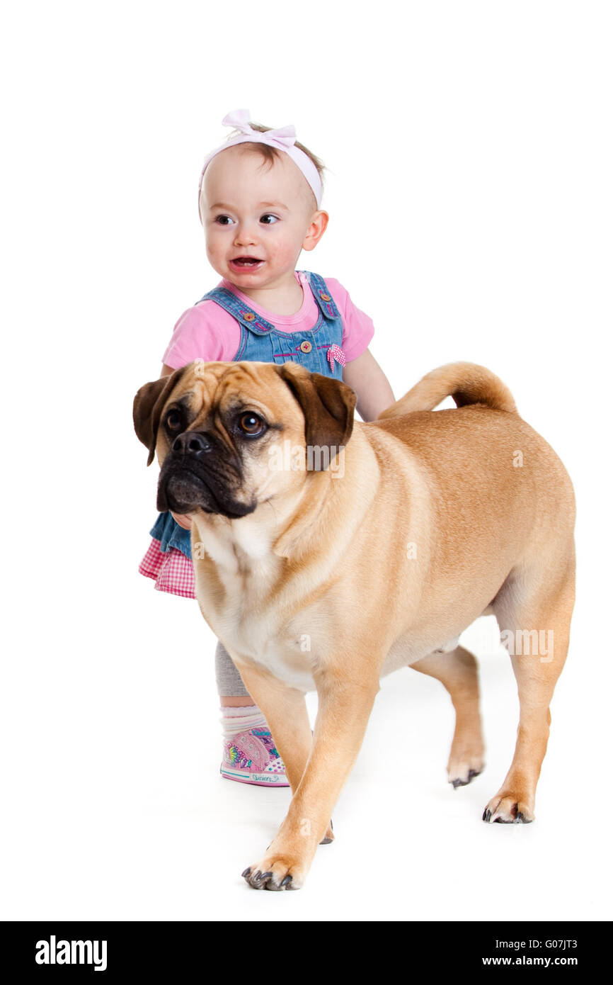 Bambina con il big dog. Baby girl e del suo essere Foto Stock