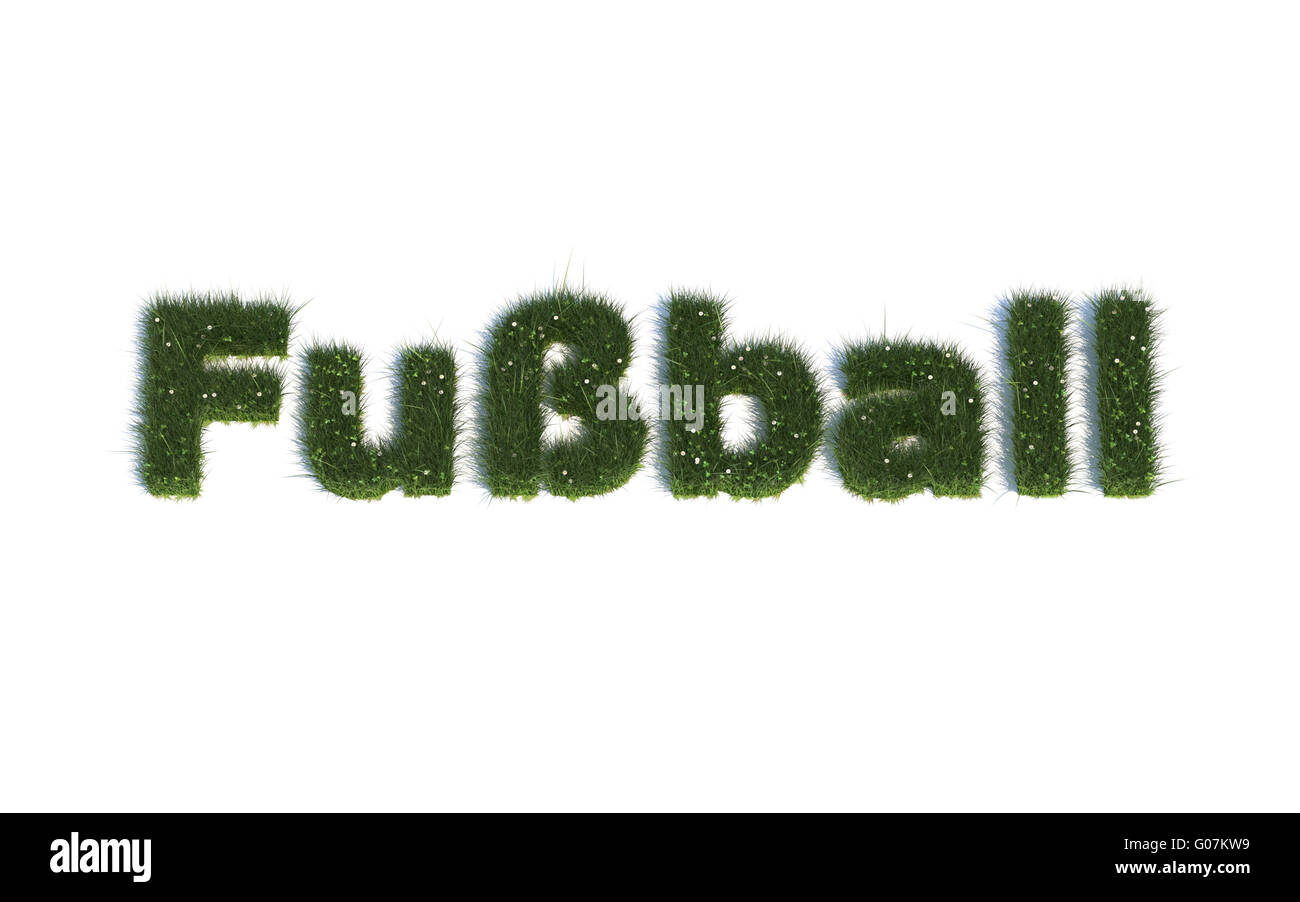 Calcio: Serie font al di fuori della realistico linguaggio di erba G (Fußball) Foto Stock