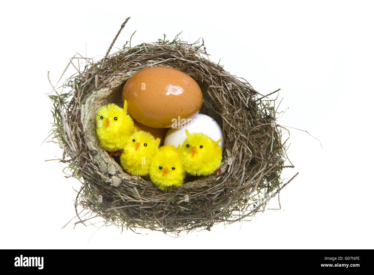 Nido, ritorti da erba con uova e pollo Foto Stock