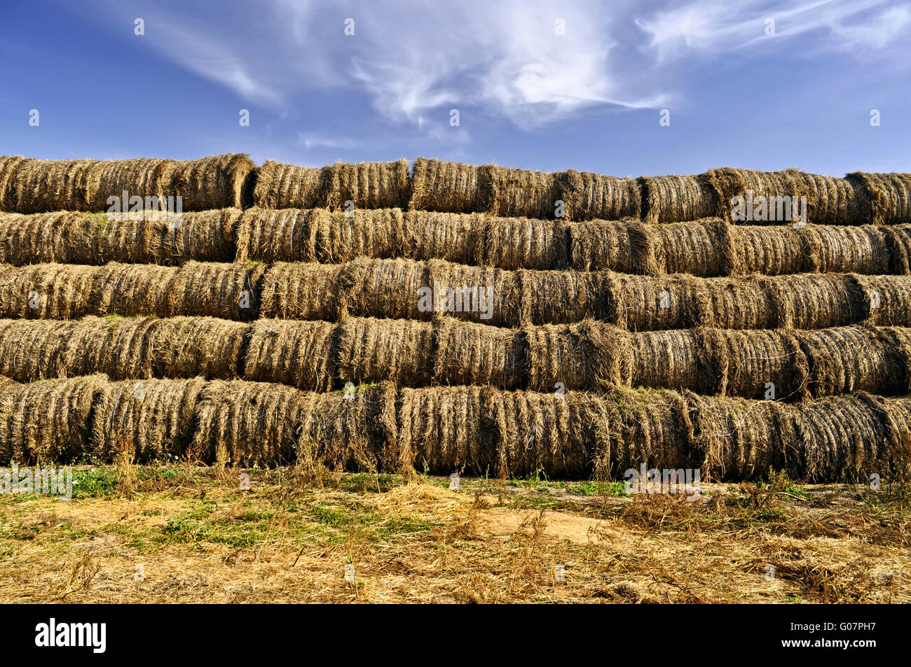 Pila di rotoballe di fieno di erba utilizzata per l'inverno Foto Stock