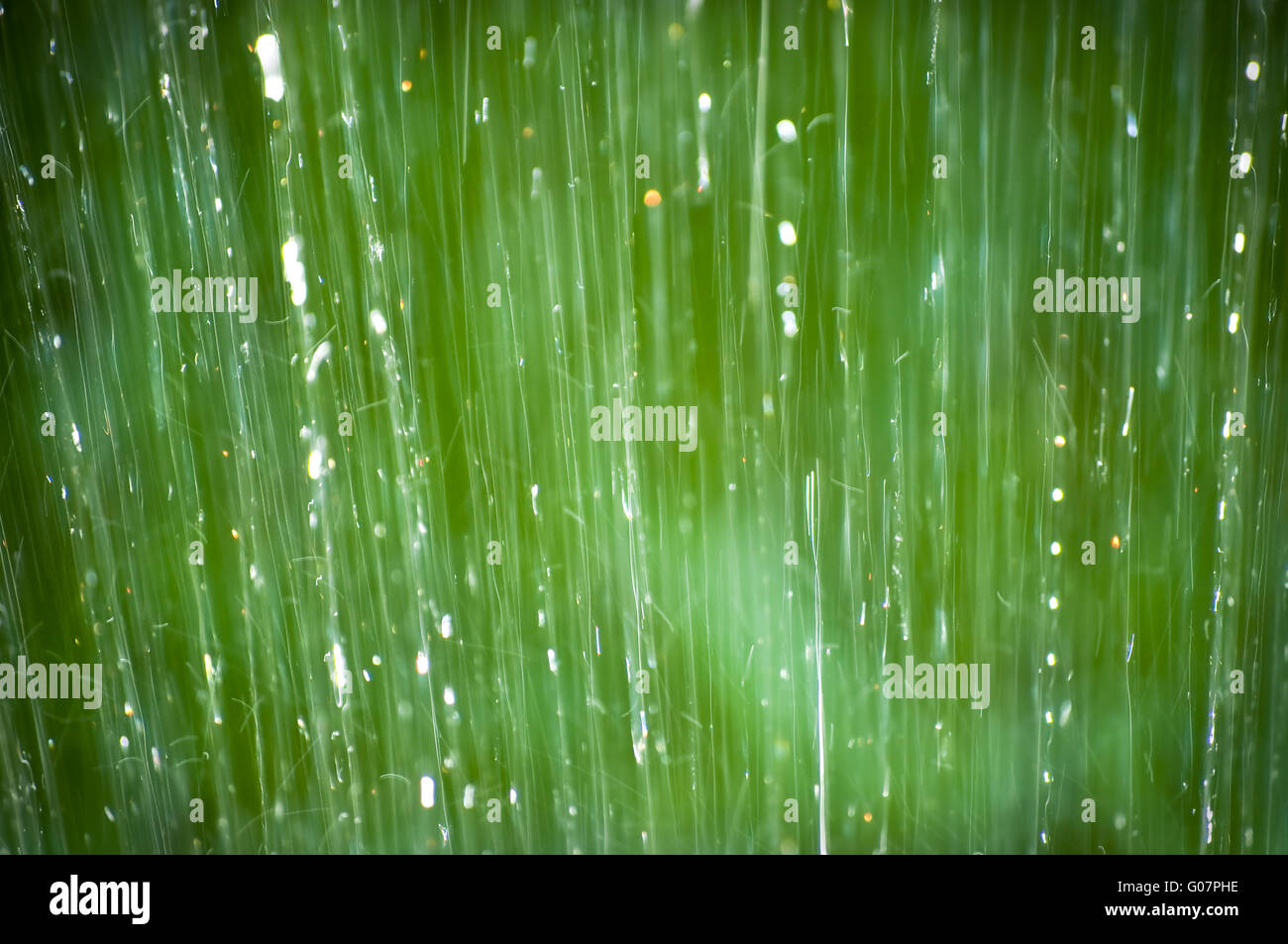 Un immagine astratta della foresta di pioggia Foto Stock