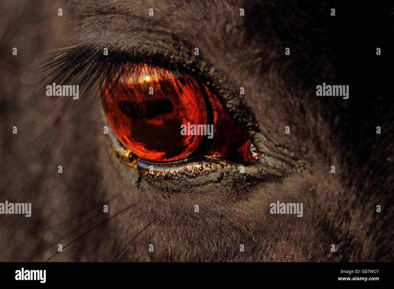 occhio di Sauron Foto stock - Alamy