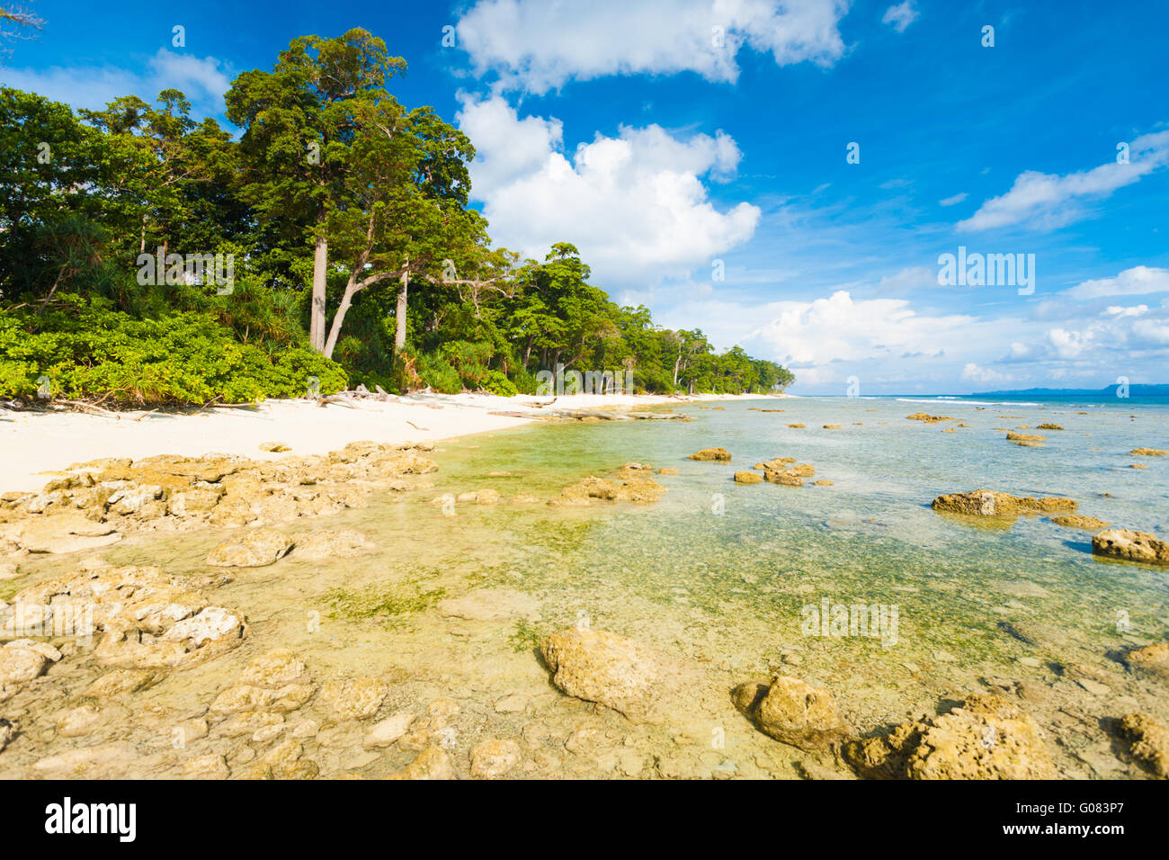 La bassa marea rocce incontaminata spiaggia incontaminata foresta Foto Stock
