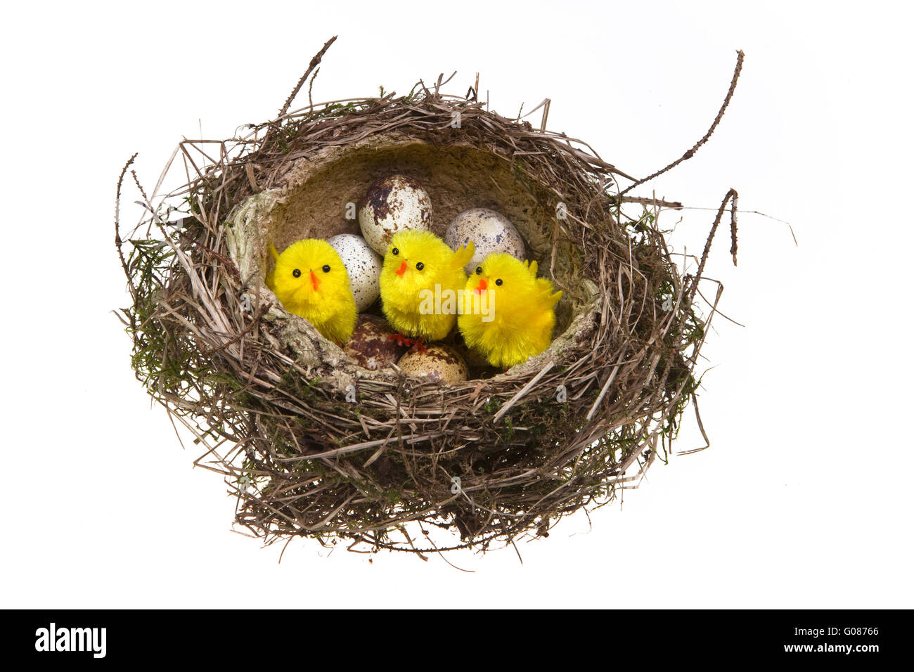 Nido, ritorti da erba con uova e pollo Foto Stock