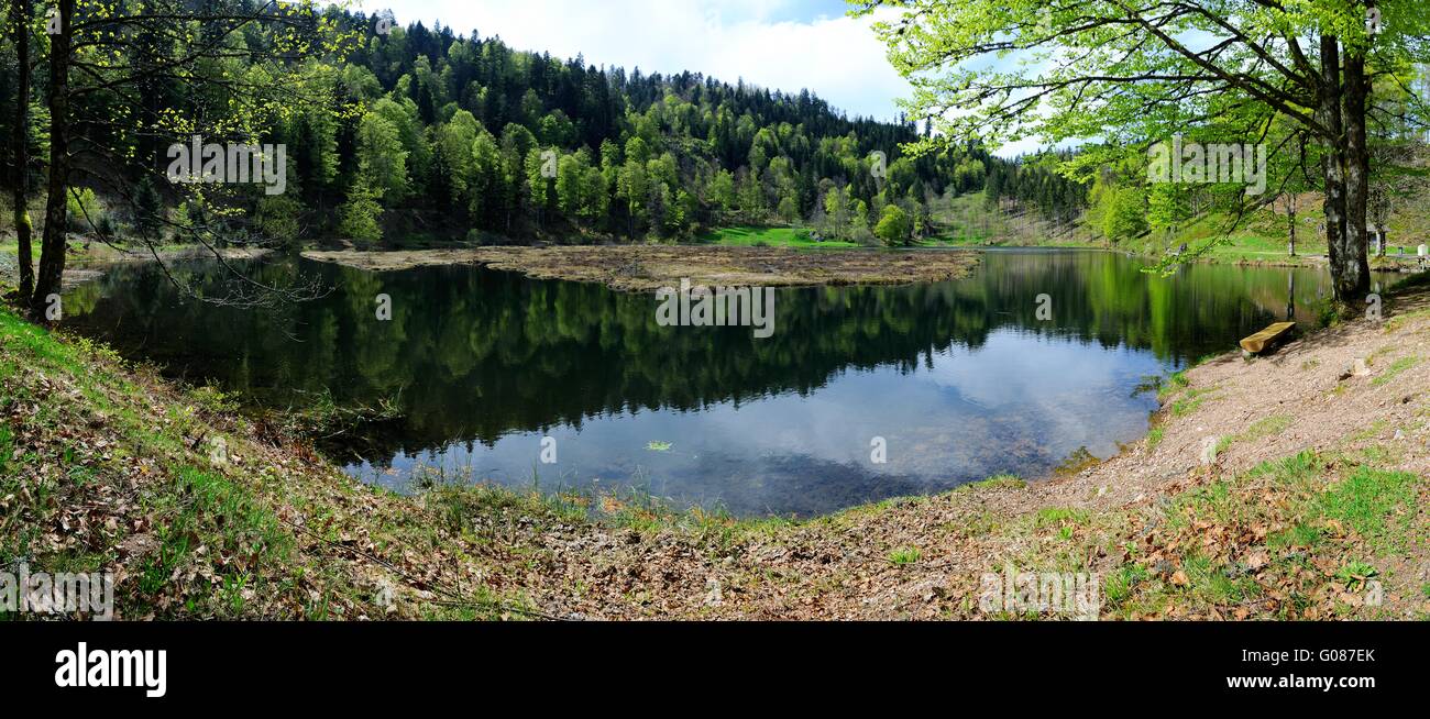 Nonnenmattweiher panoramica della Foresta Nera in Germania Foto Stock