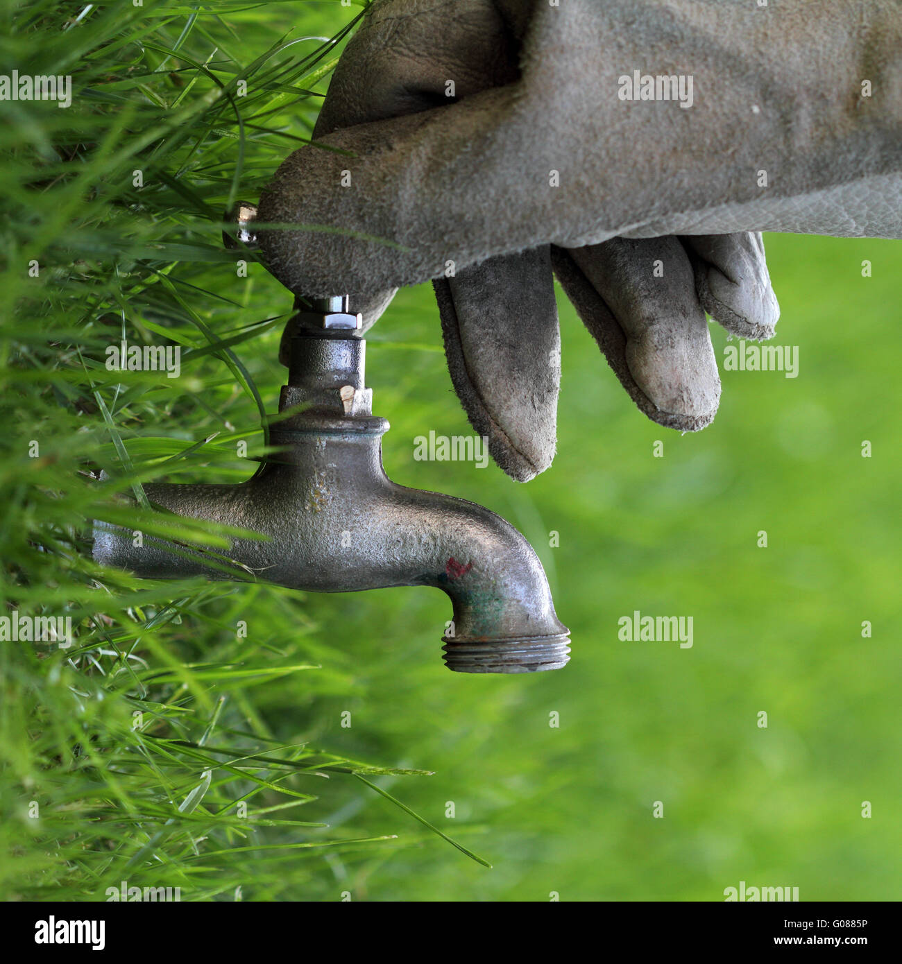 Risparmio di acqua e di concetti di natura Foto Stock